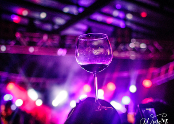 VINHOS DE ALTÍSSIMO NÍVEL