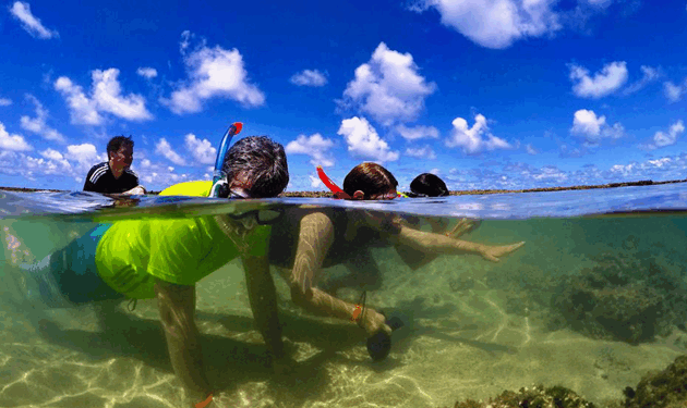 OITO PISCINAS NATURAIS
