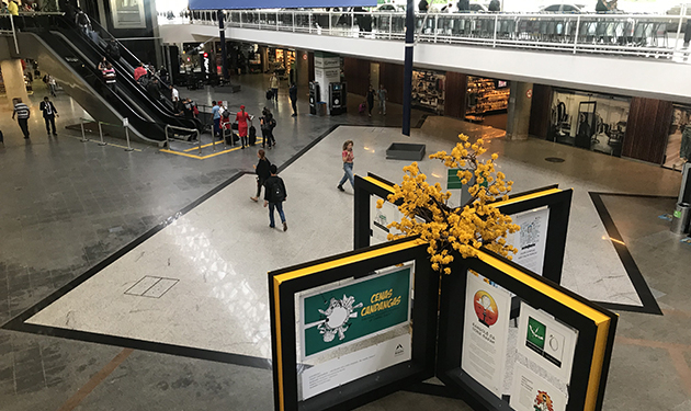 “CENAS CANDANGAS”