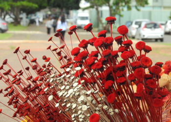 Secretaria de Turismo leva artesãos de Brasília para participarem da Festflor Brasil 2019