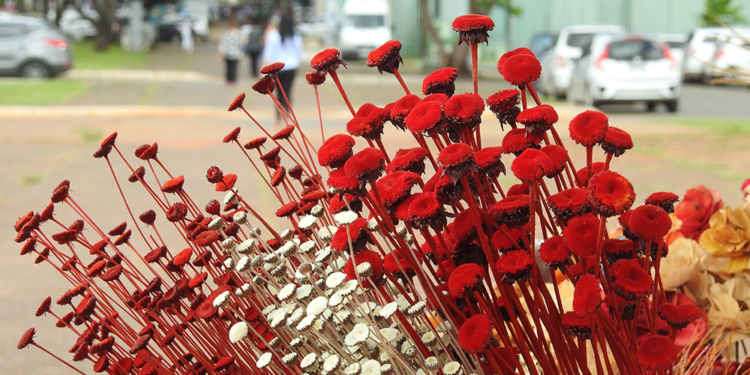 Secretaria de Turismo leva artesãos de Brasília para participarem da Festflor Brasil 2019