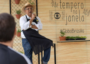 Mercadinho do Brasília chega com “Tempero na Janela”, oficinas de cultivo de hortaliças e ervas aromáticas em pequenos espaços