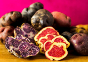 LAS PAPAS: Taypá promove festival com batatas peruanas