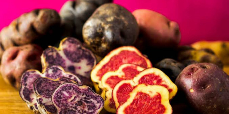 LAS PAPAS: Taypá promove festival com batatas peruanas