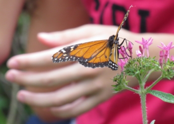 Jovens com síndrome de Down mostram seus registros fotográficos em exposição no CCBB