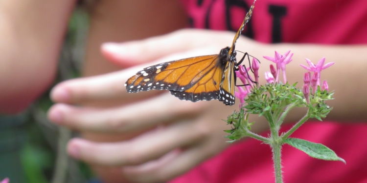Jovens com síndrome de Down mostram seus registros fotográficos em exposição no CCBB