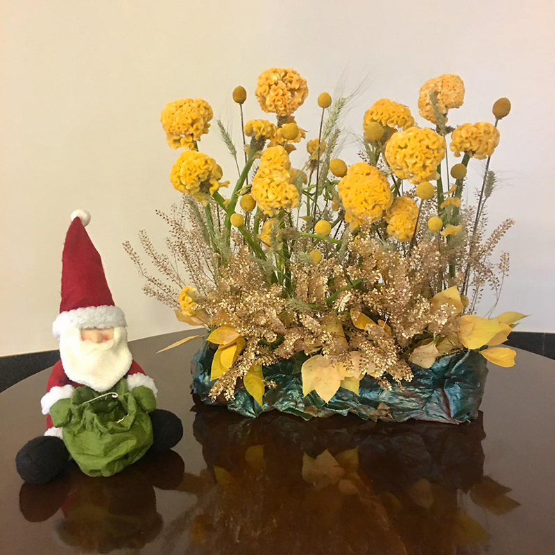 ARRANJOS DE NATAL: floristas da capital criam diferentes opções cheias de estilo ARRANJOS DE NATAL: floristas da capital criam diferentes opções cheias de estilo