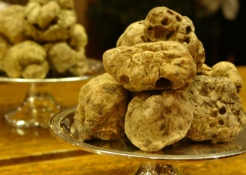 Restaurante Così realiza festival de trufas brancas
