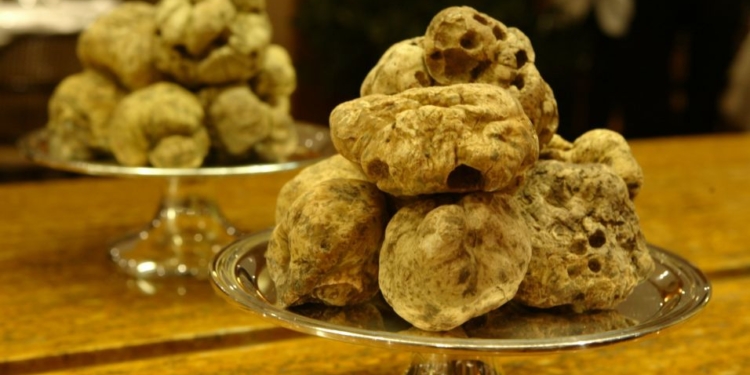 Restaurante Così realiza festival de trufas brancas