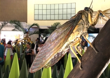 ParkShopping lança exposição ‘Jardim dos Insetos Gigantes’