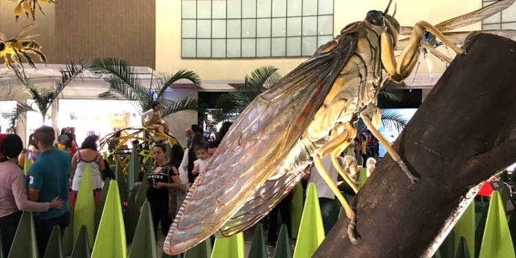 ParkShopping lança exposição ‘Jardim dos Insetos Gigantes’