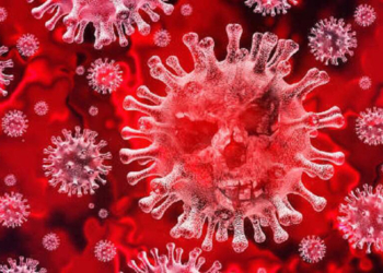 Coronavírus: como reforçar o sistema imunológico para dificultar contaminação