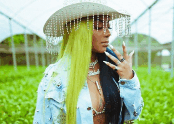 Veja as principais apostas para o hit do Carnaval 2020