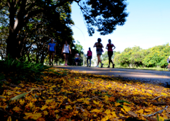 GDF determina o fechamento de parques e shoppings a partir desta quinta-feria (19)