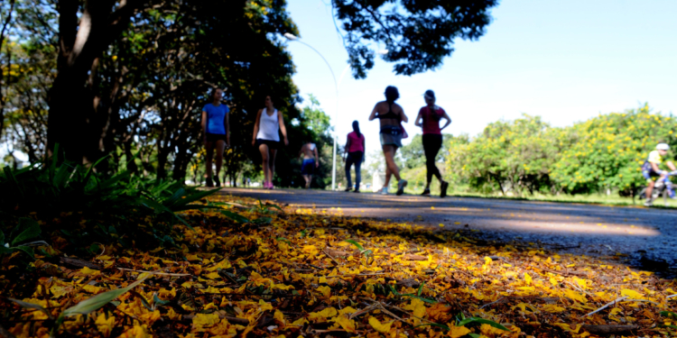 GDF determina o fechamento de parques e shoppings a partir desta quinta-feria (19)