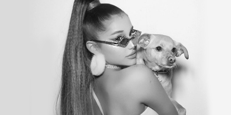 Fã burla segurança e invade a casa de Ariana Grande em Los Angeles