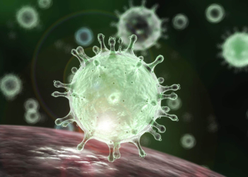 Coronavírus: confira o que o GDF faz para combatê-lo