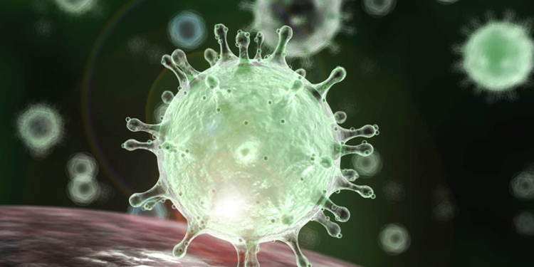 Coronavírus: confira o que o GDF faz para combatê-lo