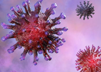 COVID-19: são necessárias medidas urgentes para enfrentar essa ameaça à vida nas zonas de conflito