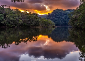 Galeria da Casa Thomas Jefferson recebe exposição “Equilúbrio” de Rafael Marques Porto