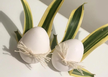 O florista Vicente Ozumi criou arranjo e ovo da Páscoa lúdico diante da crise do coronavírus