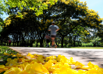 Governador do DF assina decreto permitindo a reabertura de parques e celebrações religiosas