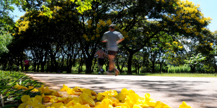 Governador do DF assina decreto permitindo a reabertura de parques e celebrações religiosas