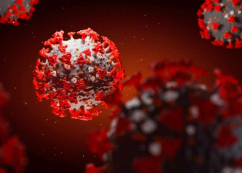 Covid-19: Brasil supera 1 milhão de casos e 49 mil mortes e pode ser o epicentro mundial em poucos dias