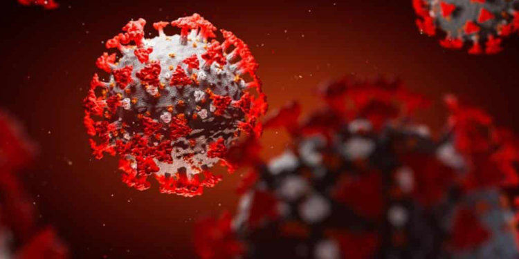 Covid-19: Brasil supera 1 milhão de casos e 49 mil mortes e pode ser o epicentro mundial em poucos dias