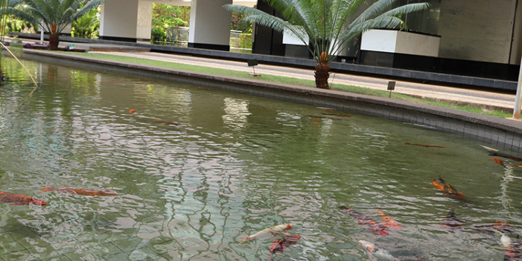 Setur-DF convida para passeio virtual pela quadra modelo de Brasília