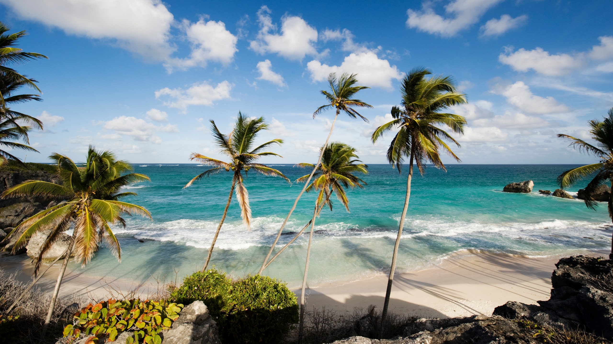 Quer morar em Barbados? Governo oferece visto de 12 meses para trabalho  remoto na ilha do Caribe - Estilozzo