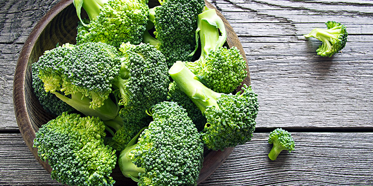 Brócolis sempre: conheça seus benefícios nutritivos sendo uma boa fonte de fibras e proteínas