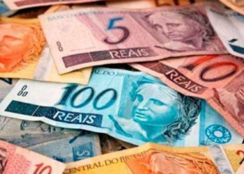 Banco Central vai lançar cédula de 200 reais com Lobo-Guará estampado