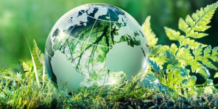 Turismo sustentável: como diminuir os danos ao meio ambiente ao viajar no pós-pandemia?