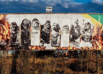 BR-010: exposição de arte em outdoor promove reflexão em torno do momento atual do país