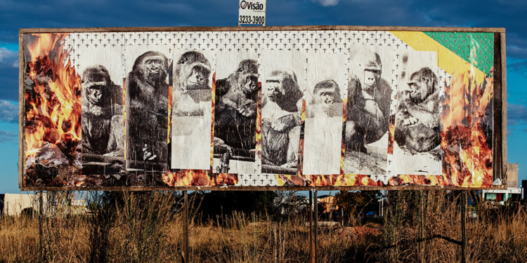 BR-010: exposição de arte em outdoor promove reflexão em torno do momento atual do país