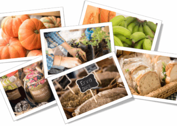 O Mercadinho do Brasília Shopping está de volta em novo formato