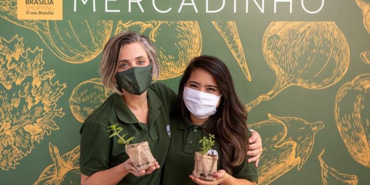 Mercadinho do Brasília Shopping faz sua última edição de 2020 neste sábado