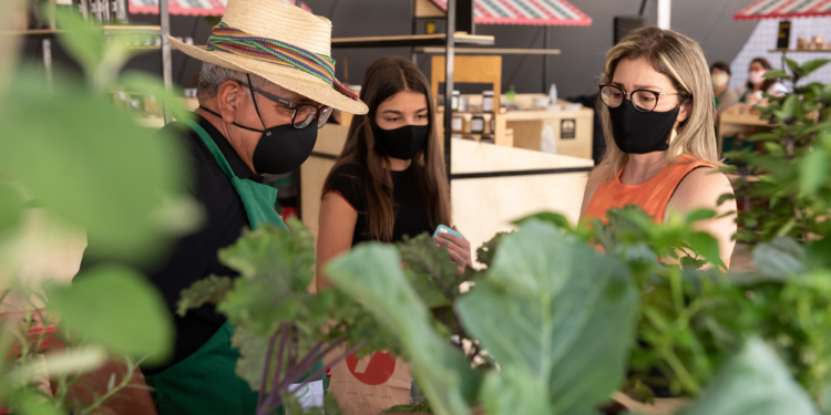 Mercadinho do Brasília Shopping acontece ao ar livre na entrada principal do Mall