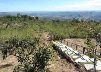 Trilha do Calango promove vivência “Experimenta Cerrado” neste sábado no Lago Oeste