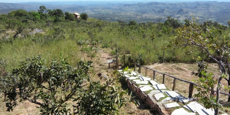 Trilha do Calango promove vivência “Experimenta Cerrado” neste sábado no Lago Oeste