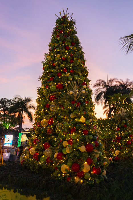Natal de luz Natal de luz