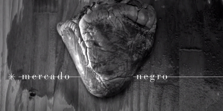 Teclado Antipreconceito: aplicativo identifica palavras preconceituosas e sugere sinônimos