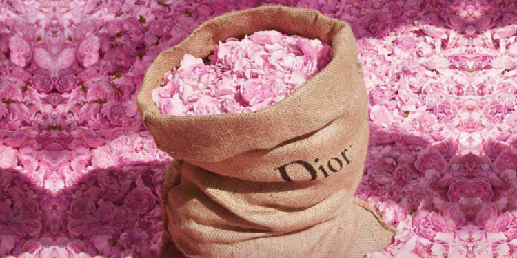 Documentário mostra os bastidores da criação de um perfume da Dior