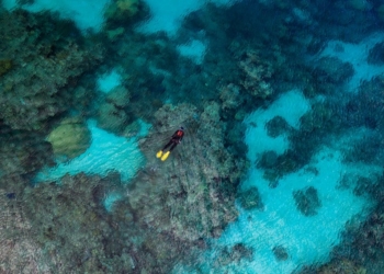 Rolex lança documentário “Perpetual Planet: Heroes of the Oceans”