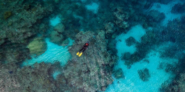 Rolex lança documentário “Perpetual Planet: Heroes of the Oceans”