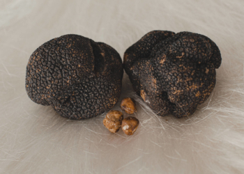 I love tartufo! ‘A Mano promove harmonização com trufas negras em pratos clássicos do cardápio