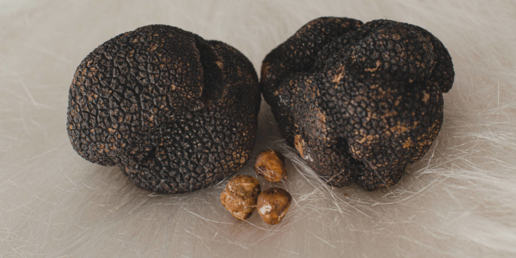 I love tartufo! ‘A Mano promove harmonização com trufas negras em pratos clássicos do cardápio