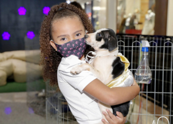 PKS Pets: Parkshopping recebe feira para adoção