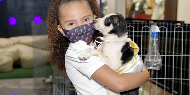 PKS Pets: Parkshopping recebe feira para adoção